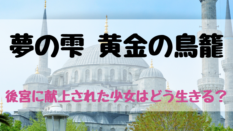 夢の雫 黄金の鳥籠 ネタバレなしであらすじと感想を紹介 後宮に献上された少女はどう生きていく おきにいりメモ